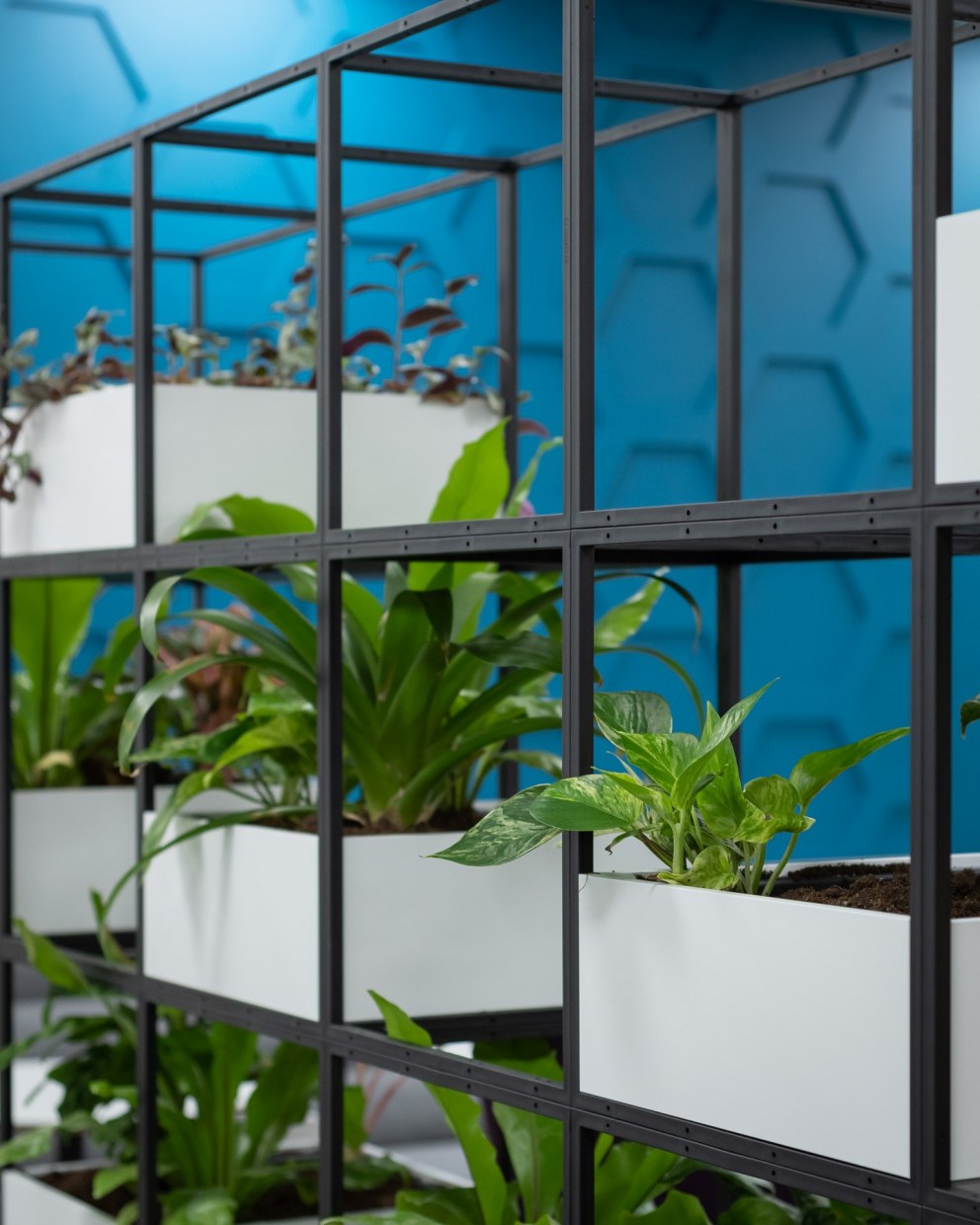 Rethink Events - Workplace Design | Detail - planted shelving screen | Interior Designers